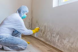 Best Post-Construction Mold Inspection in Shippensburg, PA