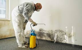  Shippensburg, PA Mold Removal Pros