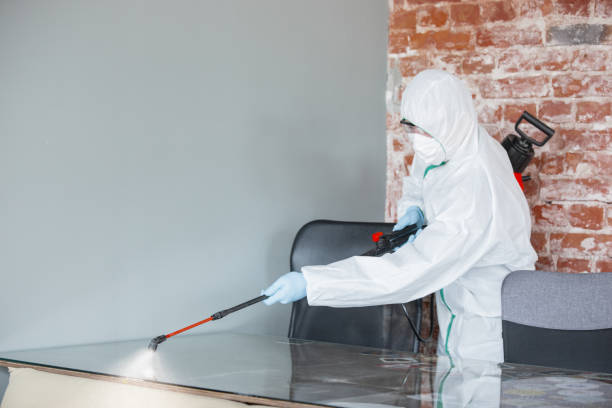 Why You Should Choose Our Mold Remediation Services in Shippensburg, PA